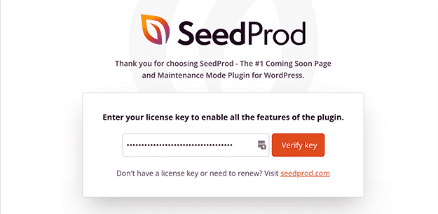 SeedProd landing page plugin